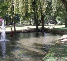 bassin-parc